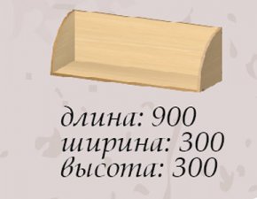 Василиса Полка навесная 900 1