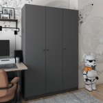 Шкаф для одежды Промо Графит 3 ДСП 135х48х204