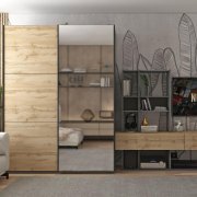 Шкаф купе G-Caiser Графит Дуб Евок 1 ДСП / 1 Зеркало 160х60х240
