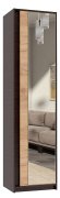 Шкаф с зеркалом "Брайт" 520х376х2000 h . Венге магия / Дуб крафт золотой