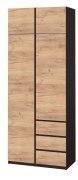 Шкаф с антресолью "Брайт" 1000х520х2400 h . Венге магия / Дуб крафт золотой (Телескоп. напр.)