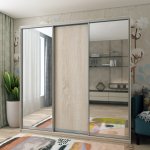 Шкаф купе Сити Лайт Дуб сонома 1 ДСП / 2 Зеркала 225х60х225