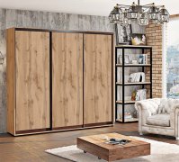 Шкаф-купе 3ДСП 220/60 Макси Шкаф-купе 3ДСП 220/60 Макси