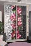 Шафа-купе: Фотодрук (110х220х45/60)