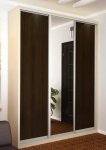 Шкаф-купе: 2ДСП-зеркало (222х220х60)