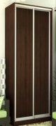 Шкаф-купе: 2 ДСП (120х220х45/60) Шкаф-купе: 2 ДСП (120х220х45/60)
