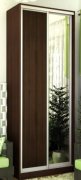 Шкаф-купе: ДСП-зеркало (120х220х45/60) Шкаф-купе: ДСП-зеркало (120х220х45/60)