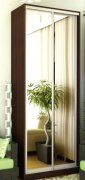 Шкаф-купе: 2 зеркала (120х220х45/60) Шкаф-купе: 2 зеркала (120х220х45/60)
