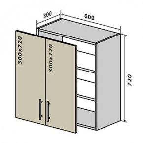 Навесной Шкаф №6 (600x720) Соло 1