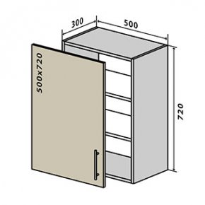 Навесной Шкаф №5 (500x720) RioLine 1