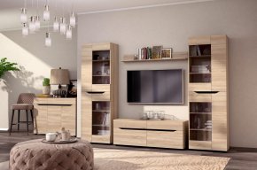 Витрина "Аякс" высокая 650х376х2000 h Дуб сонома / Венге магия (правосторонняя) 3